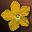 Etc_flower_i02_0.jpg