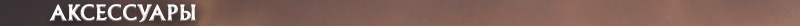 h2_accesories_ru.png