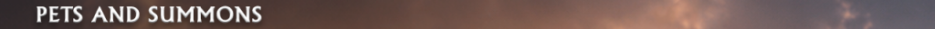 h1_pets_en.png