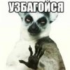 1790527711450.jpeg