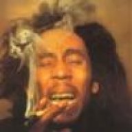 Leroi