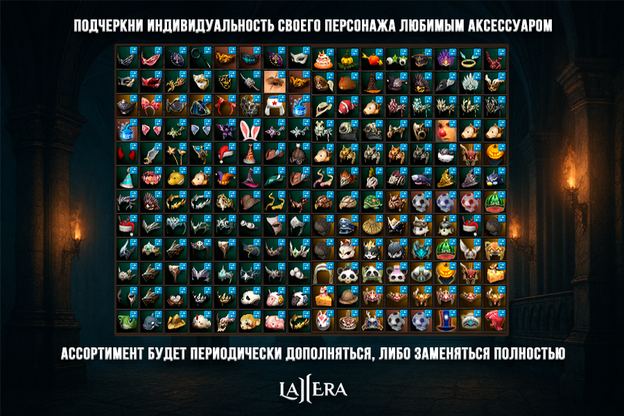 hf_accessories.png